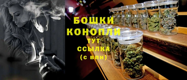 ешки Богданович