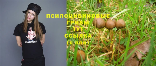 амф Богородск