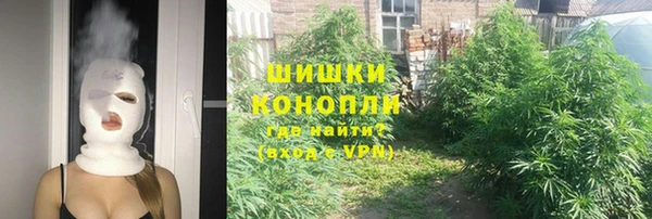 амф Богородск