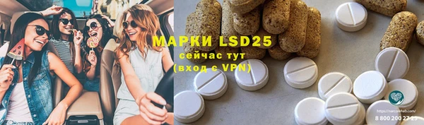 эйфоретик Белокуриха