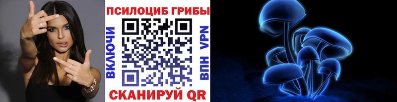 цены наркотик  Чадан  Псилоцибиновые грибы Cubensis 
